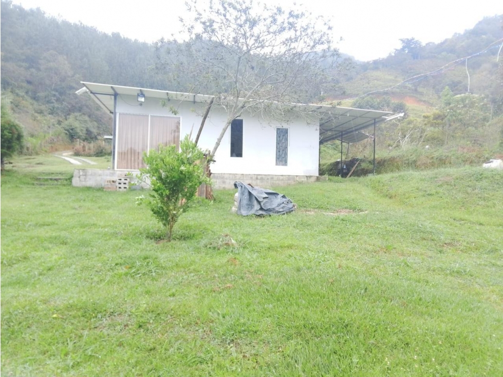 LINDA FINCA EN VENTA SAN VICENTE — foto 3