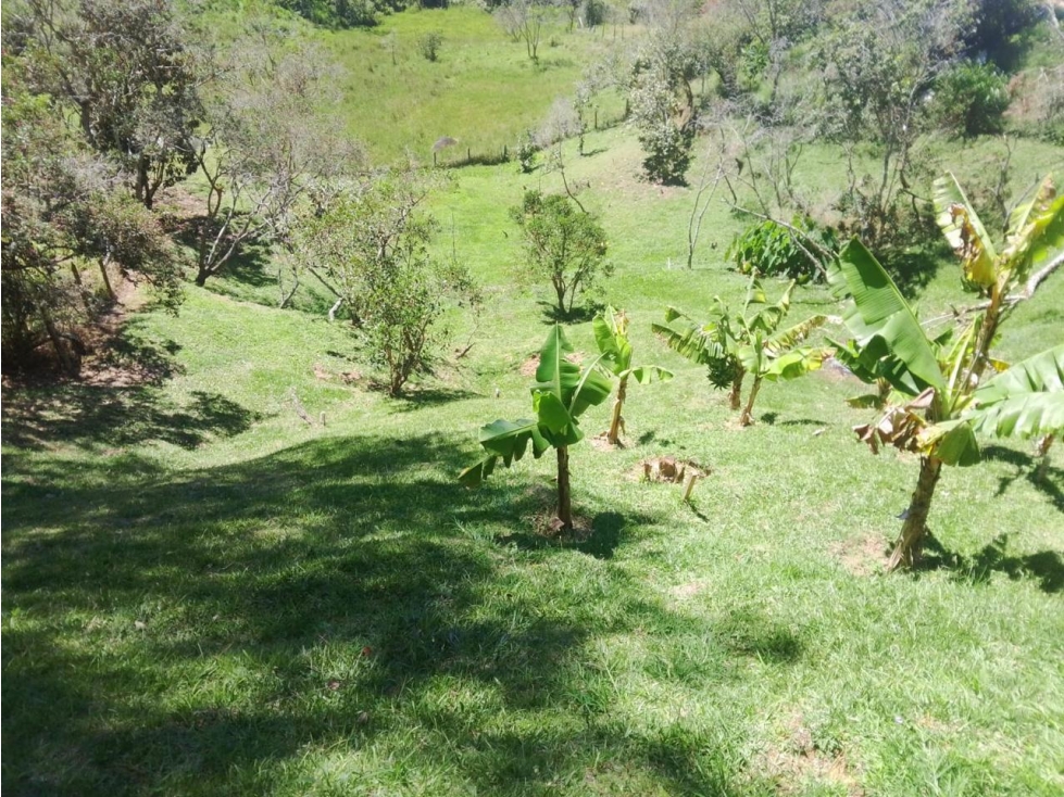 EN VENTA ESPECTACULAR FINCA EN SAN VICENTE CERCA A LA AUTOPISTA — foto 4