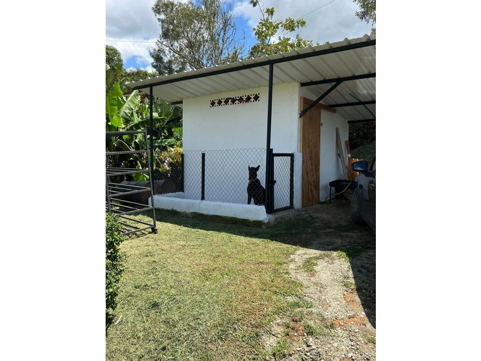 LINDA CASA FINCA DE LUJO EN VENTA EN EL CARMEN DE VIBORAL — foto 5
