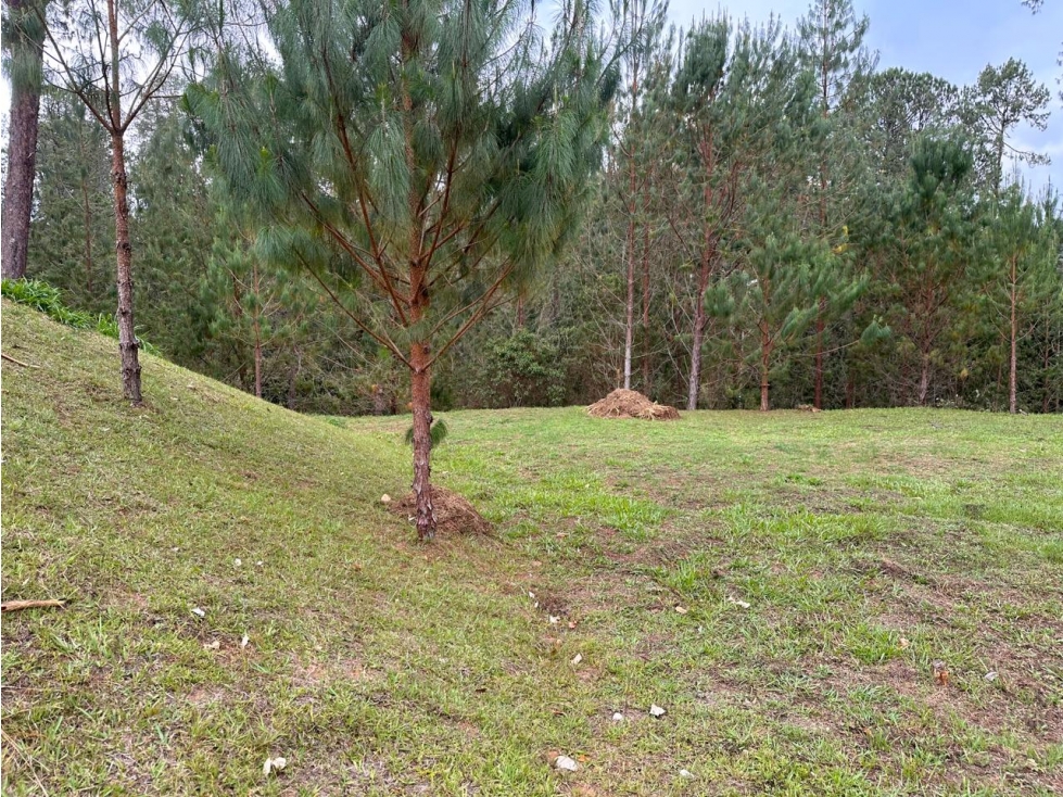 ENCANTADOR LOTE EN VENTA EN PRESTIGIOSA PARCELA EL RETIRO — foto 5