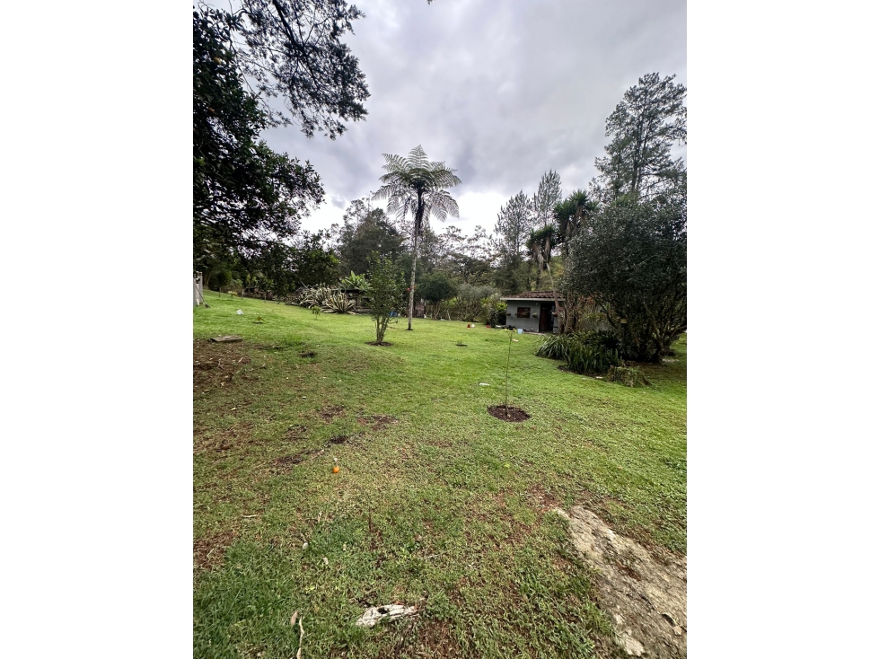HERMOSA FINCA EN VENTA VIA LA CEJA DON DIEGO EL RETIRO — foto 6