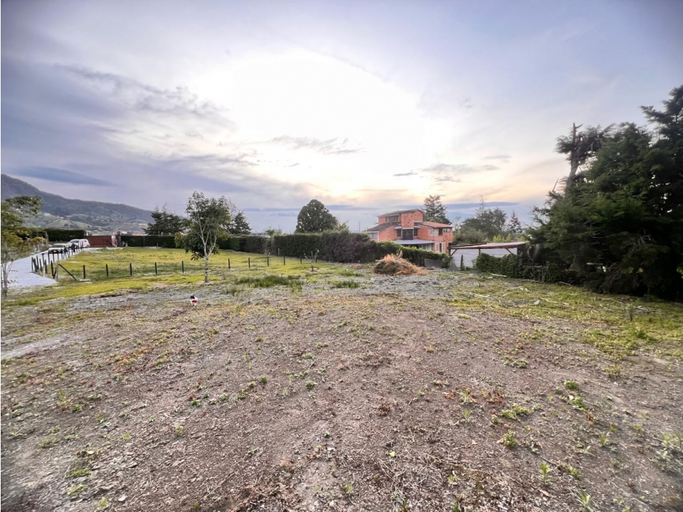 SE VENDE LINDO LOTE EN EL CARMEN DE VIBORAL ~ SECTOR CAMPO ALEGRE... — foto 3