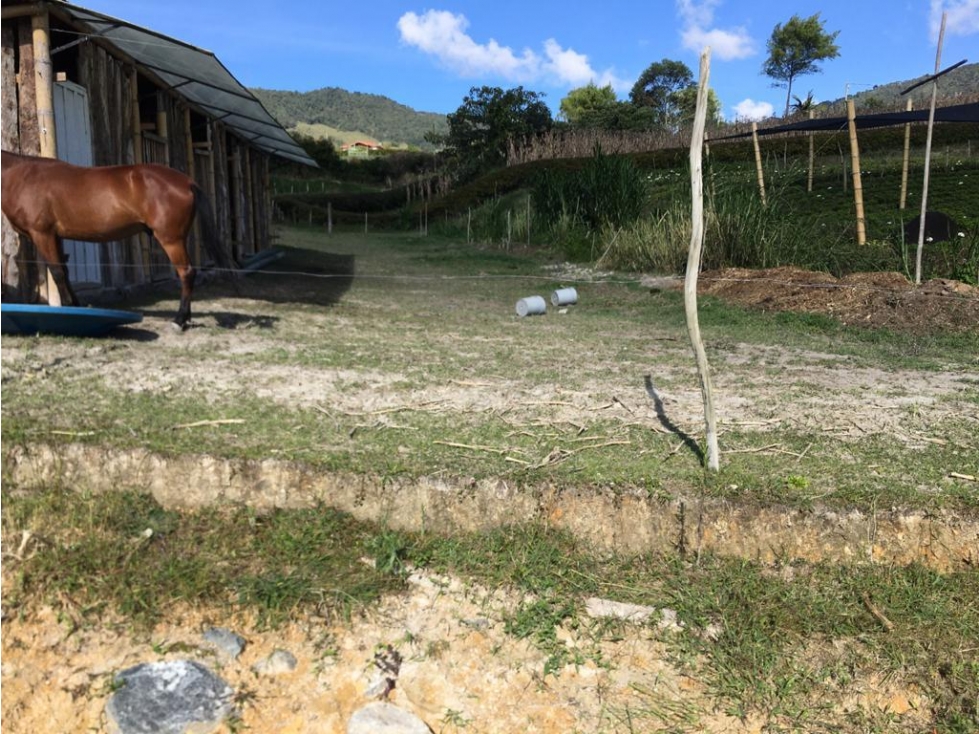 LINDO LOTE SOBRE VIA EN LA VEREDA LA CHAHPA DEL CARMEN DE VIBORAL ANT. — foto 2
