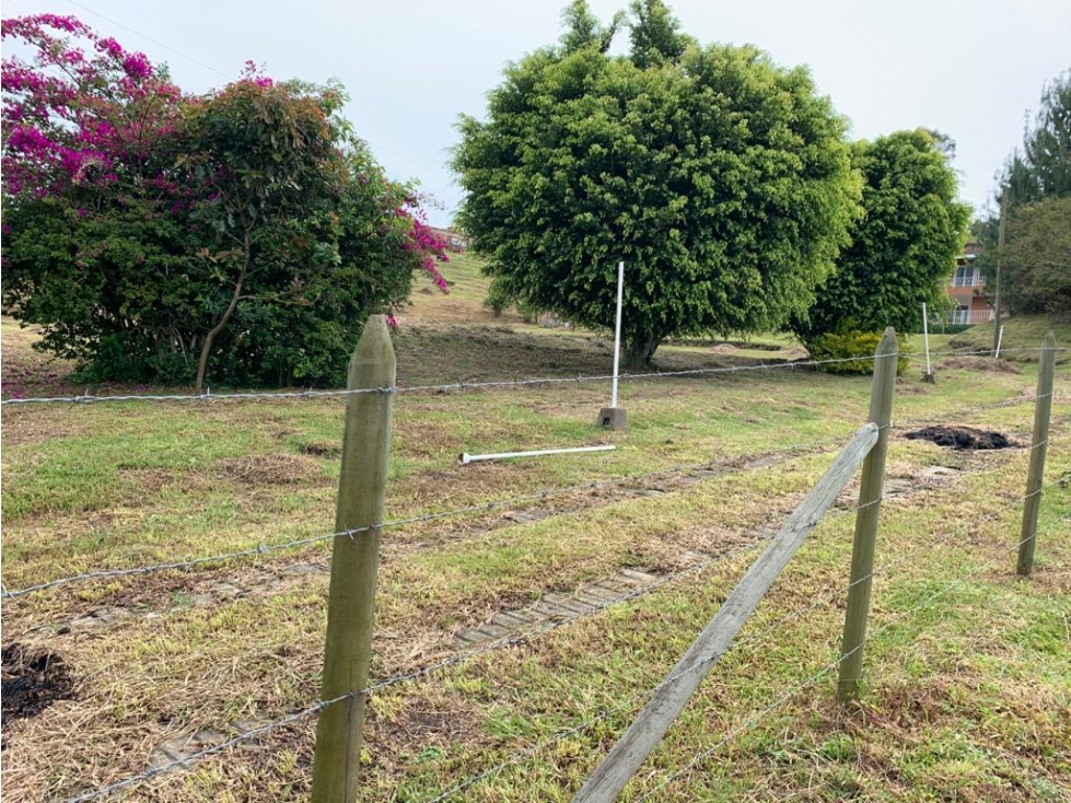HERMOSO LOTE EN VENTA EN LA VEREDA OJO DE AGUA EL CARMEN DEE VIBORAL — foto 3