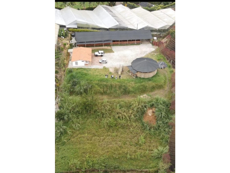 HERMOSA FINCA CON 20 PESEBRERA EN VENTA EN EL CARMEN DE VIBORAL — foto 2