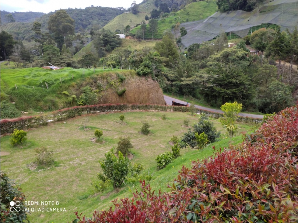 HERMOSA FINCA EN VENTA LA CEJA ANTIOQUIA — foto 2