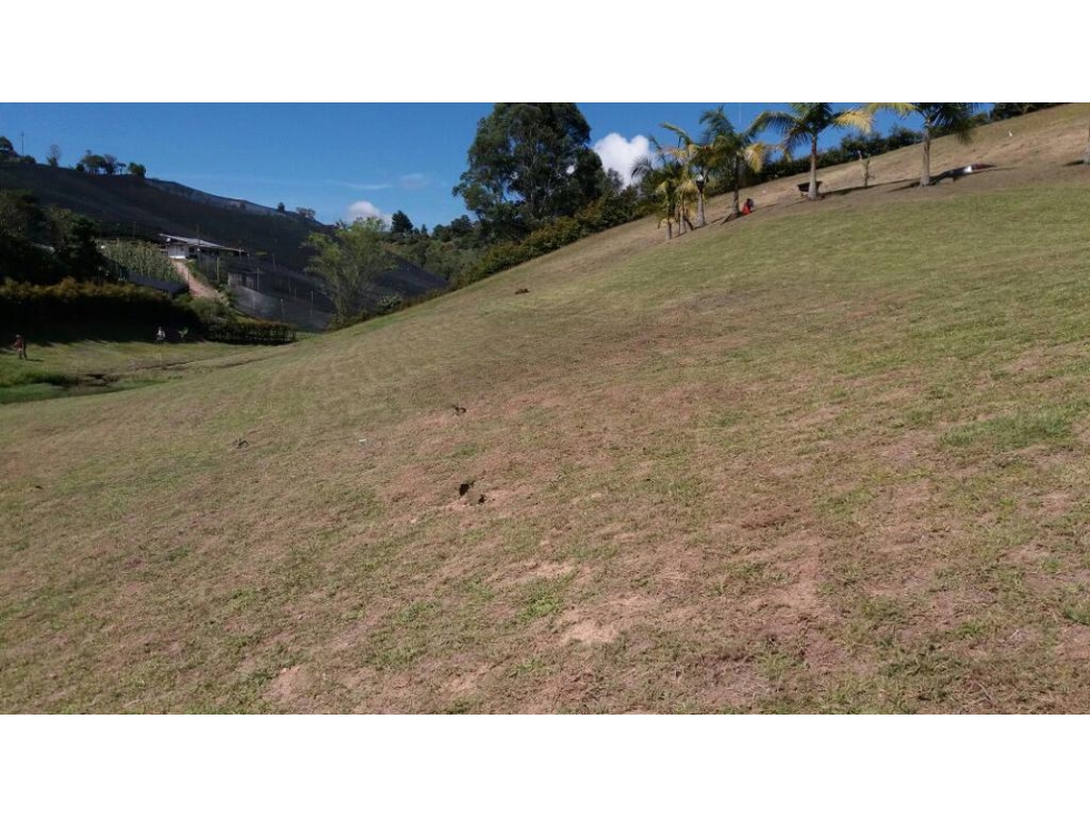 ENCANTADOR LOTE EN VENTA EL CÁRMEN DE VIBORAL — foto 2