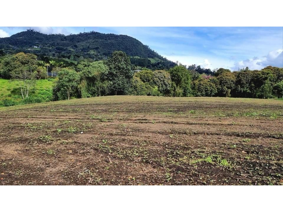 EXCELENTE LOTE EN VENTA PONTEZUELA LLANOGRANDE