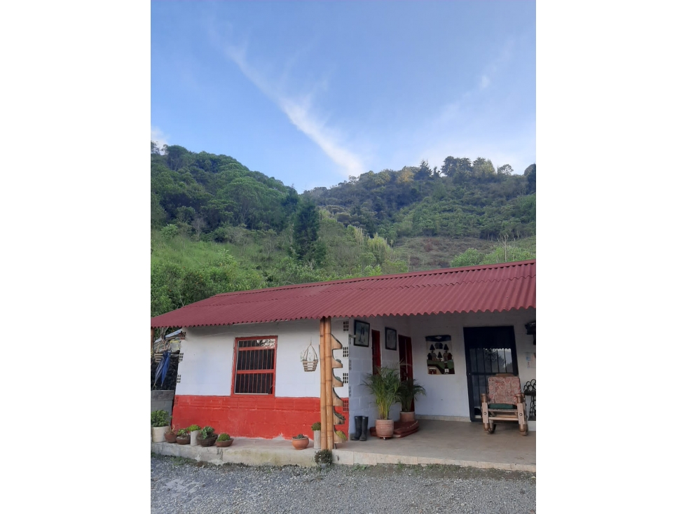 LINDA CASA FINCA TRADICIONAL EN VENTA CARMEN DE VIBORAL — foto 5