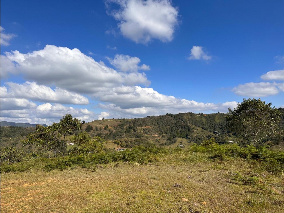ENCANTADOR LOTE EN CON LINDA VISTA EN VENTA GUARNE - 2
