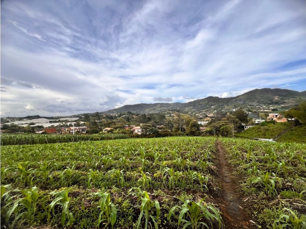 ESPECTACULAR LOTE SEMIURBANO EN VENTA EL CARMEN DE VIBORAL — foto 2