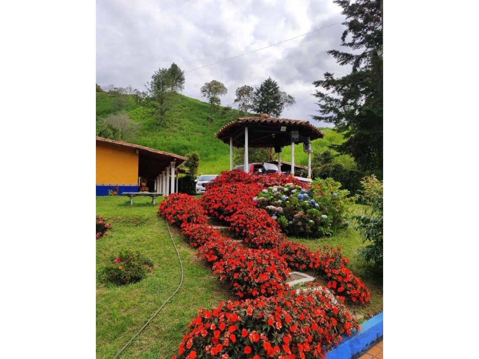ENCANTADORA FINCA EN VENTA GUARNE