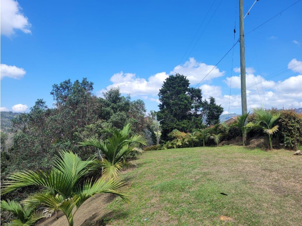 ESPECTACULAR LOTE EN VENTA GUARNE — foto 2