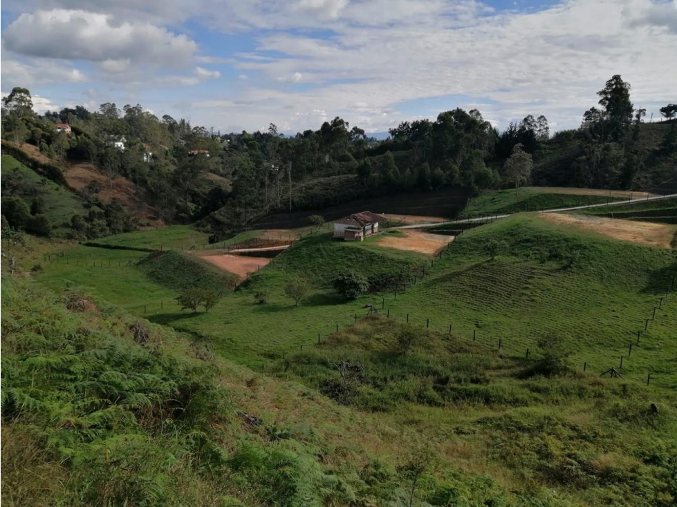 ENCANTADORES LOTES EN VENTA CERCA A LA AUTOPISTA — foto 2
