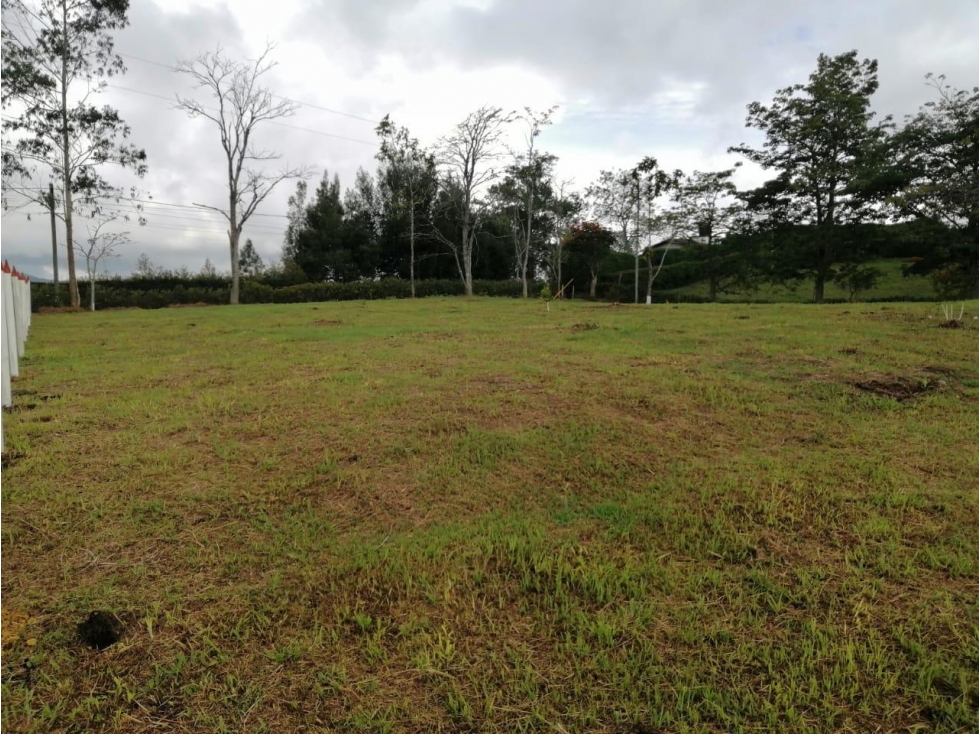 ENCANTADOR LOTE EN VENTA SAN VICENTE — foto 2