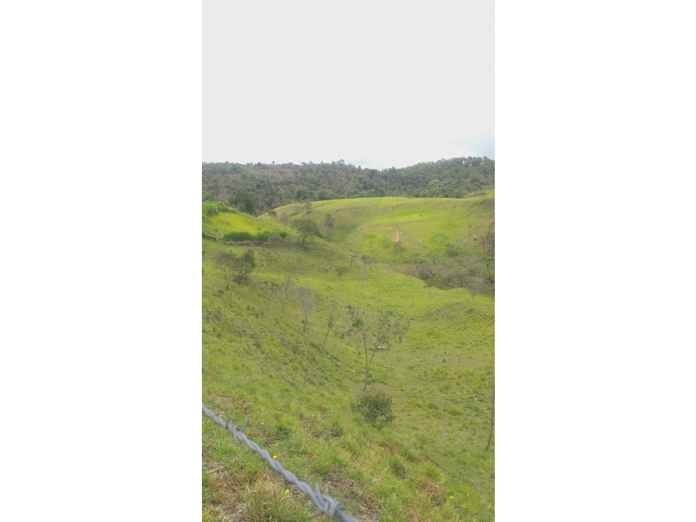 ENCANTADORA FINCA EN VENTA PARA PROYECTO SAN VICENTE — foto 2