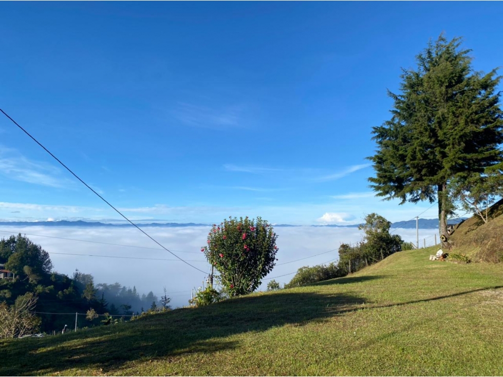 LINDA FINCA EN VENTA GUARNE — foto 4