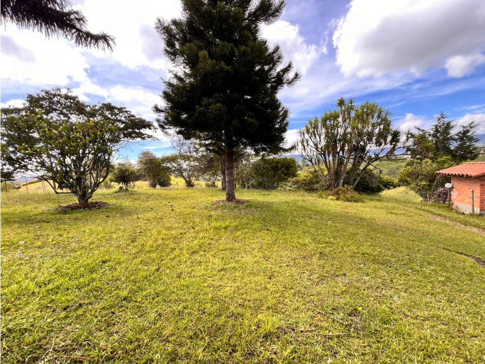 HERMOSO LOTE URBANO EN PARCELACIÓN OJO DE AGUA RIONEGRO — foto 3