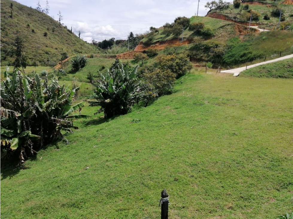 ENCANTADORES LOTES EN VENTA SAN VICENTE CERCA A LA AUTOPISTA MEDELLÍN — foto 3