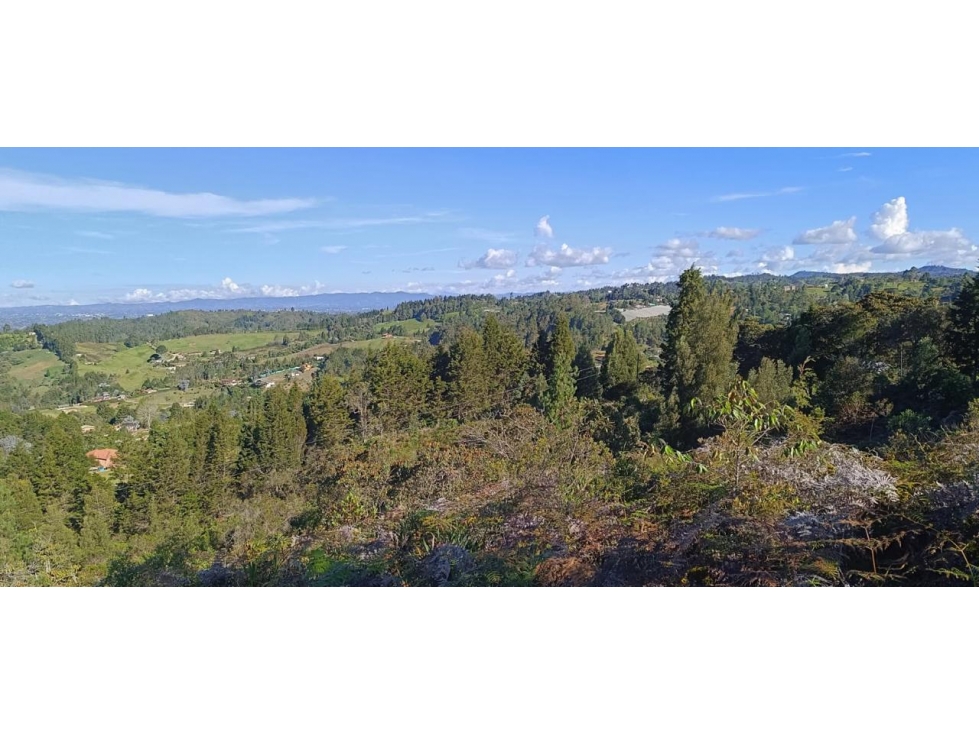 HERMOSOS LOTES EN VENTA VEREDA SAN ISIDRO — foto 2