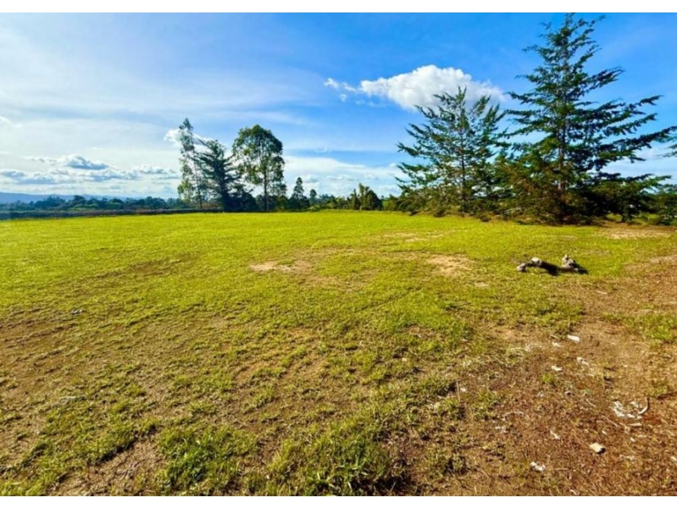 HERMOSO LOTE EN VENTA EN PARCELACIÓN ACCESO SOBRE LA VÍA SAN ANTONIO — foto 2