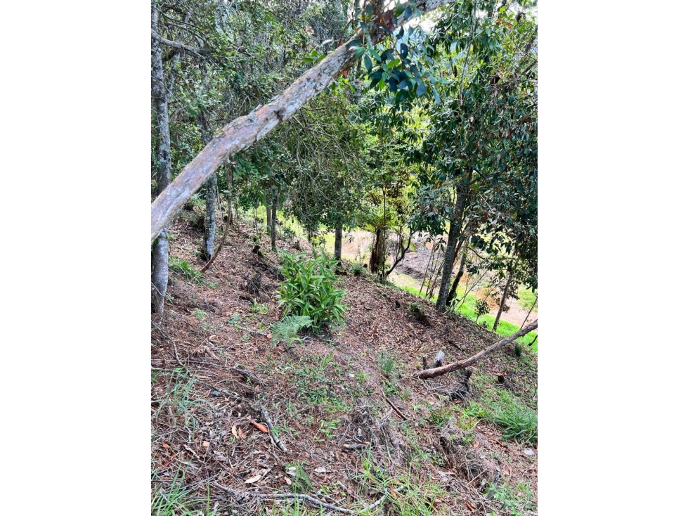 LINDOS LOTES EN VENTA CON EXCELENTE UBICACIÓN — foto 2