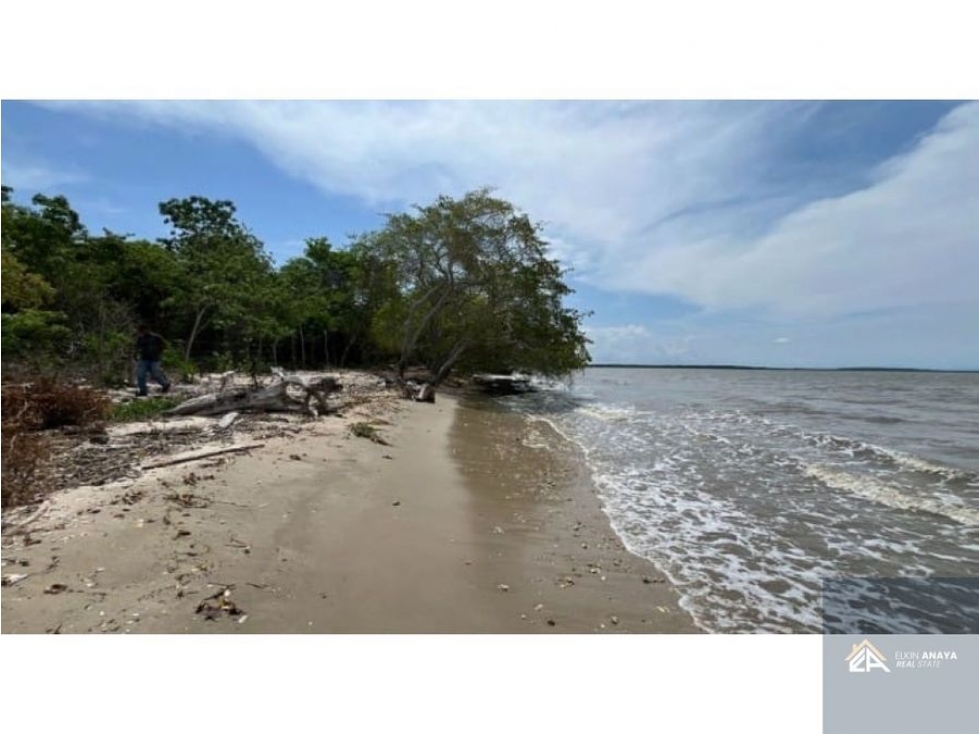 HERMOSO LOTE DE PLAYA EN VENTA BARBACOA ISLA BARU