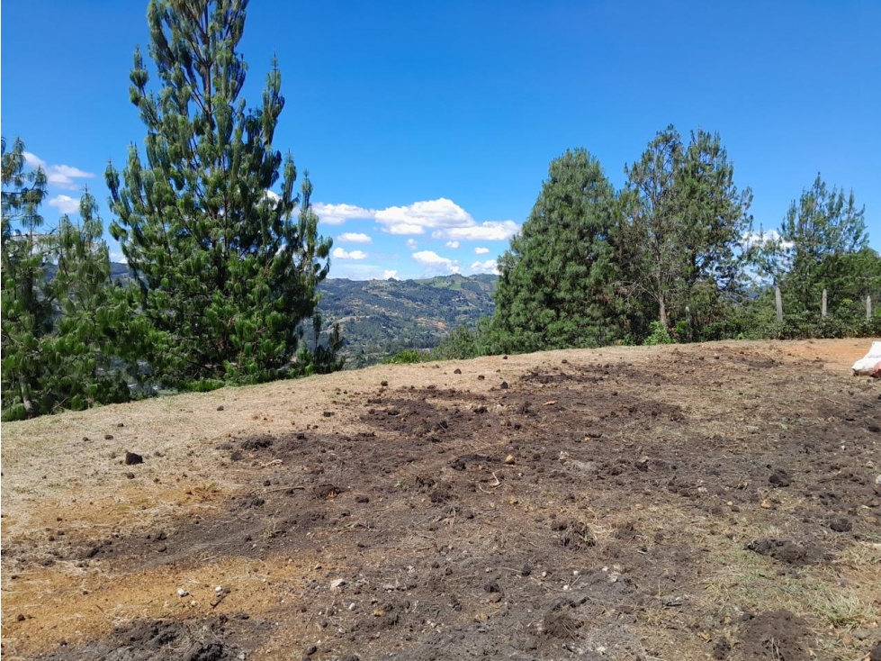 HERMOSO LOTE EN VENTA GUARNE — foto 2