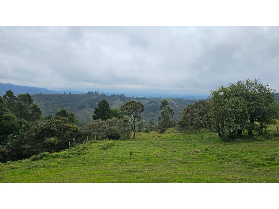 ENCANTADOR LOTE EN VENTA GUARNE PARA PROYECTO AGROPECUARIO — foto 2
