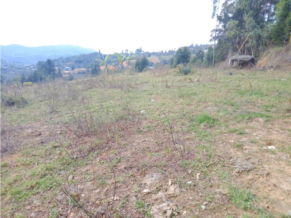 HERMOSO LOTE EN VENTA GUARNE — foto 2