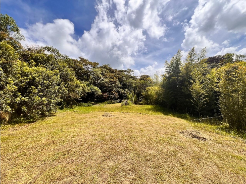 ESPECTACULAR LOTE EN EL CARMEN DE VIBORAL SECTOR LA CHAPA — foto 2