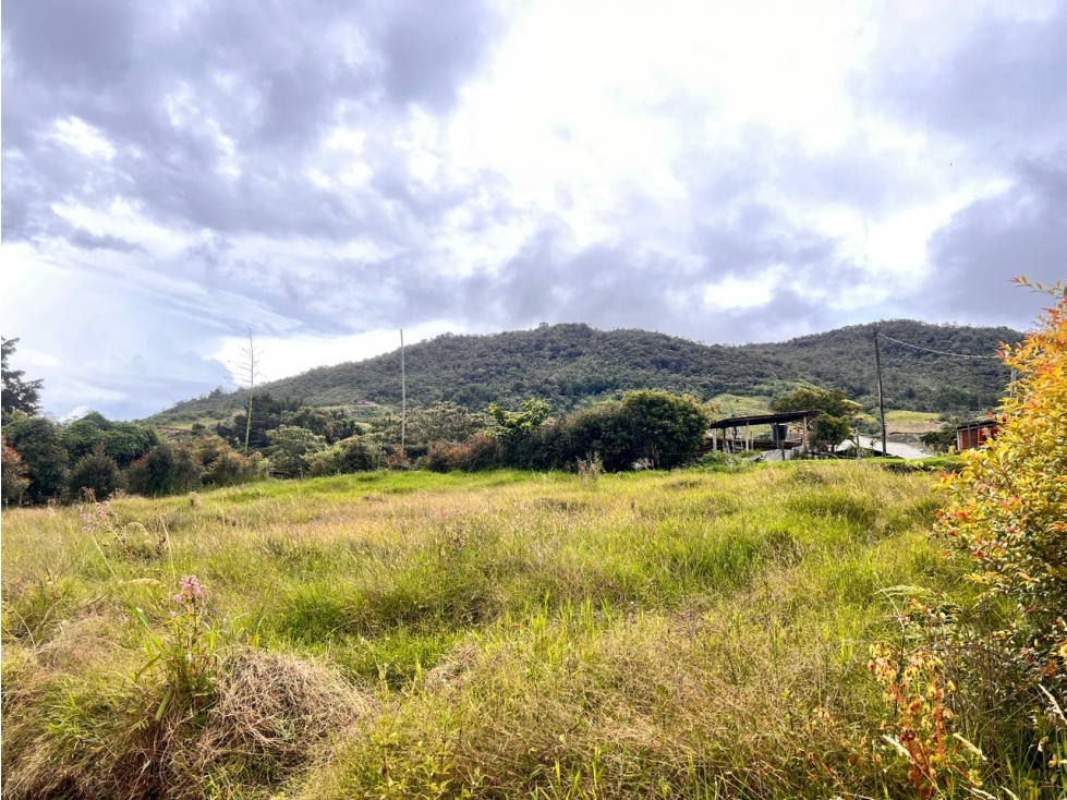 HERMOSOS LOTES EN VENTA EL CARMEN DE VIBORAL SECTOR LA CHAPA