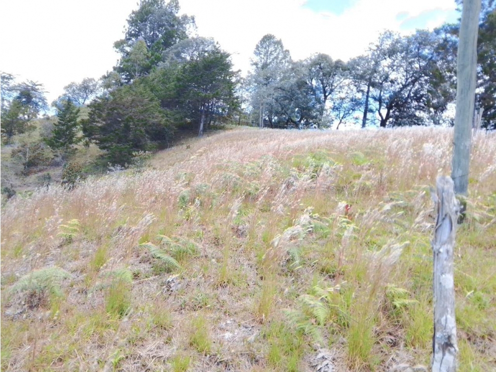 ENCANTADOR LOTE EN VENTA PARA PROYECTO DE SUBDIVISIÓN SAN VICENTE — foto 6