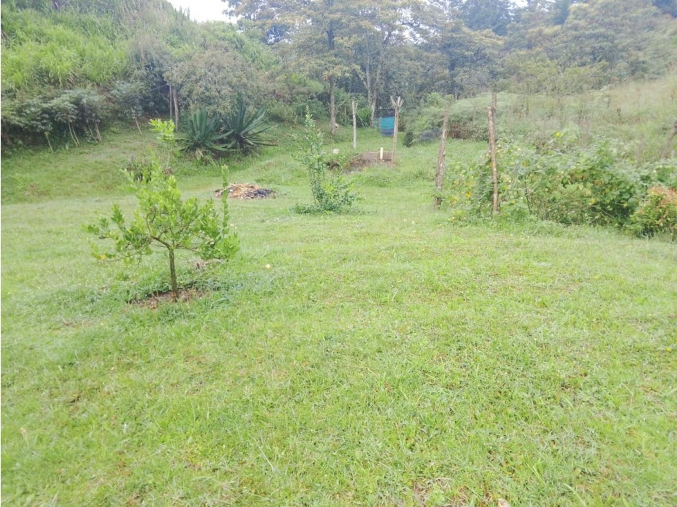 LINDA FINCA EN VENTA SAN VICENTE — foto 4