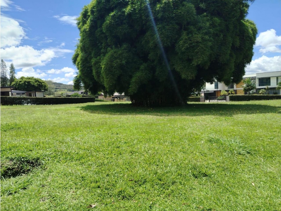 ESPECTACULAR LOTE EN VENTA PARCELACION LA CEJA — foto 3