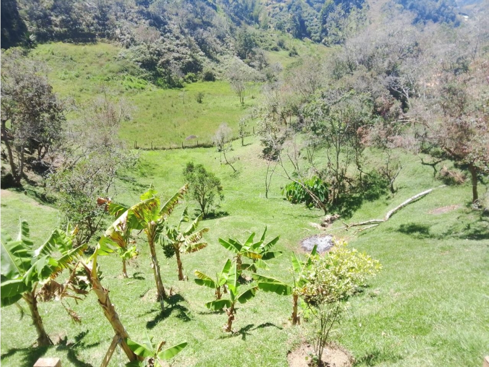 EN VENTA ESPECTACULAR FINCA EN SAN VICENTE CERCA A LA AUTOPISTA — foto 5