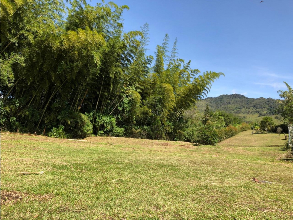 ENCANTADORA FINCA EN VENTA EL PEÑOL TOPOGRAFIA PLANA - 4