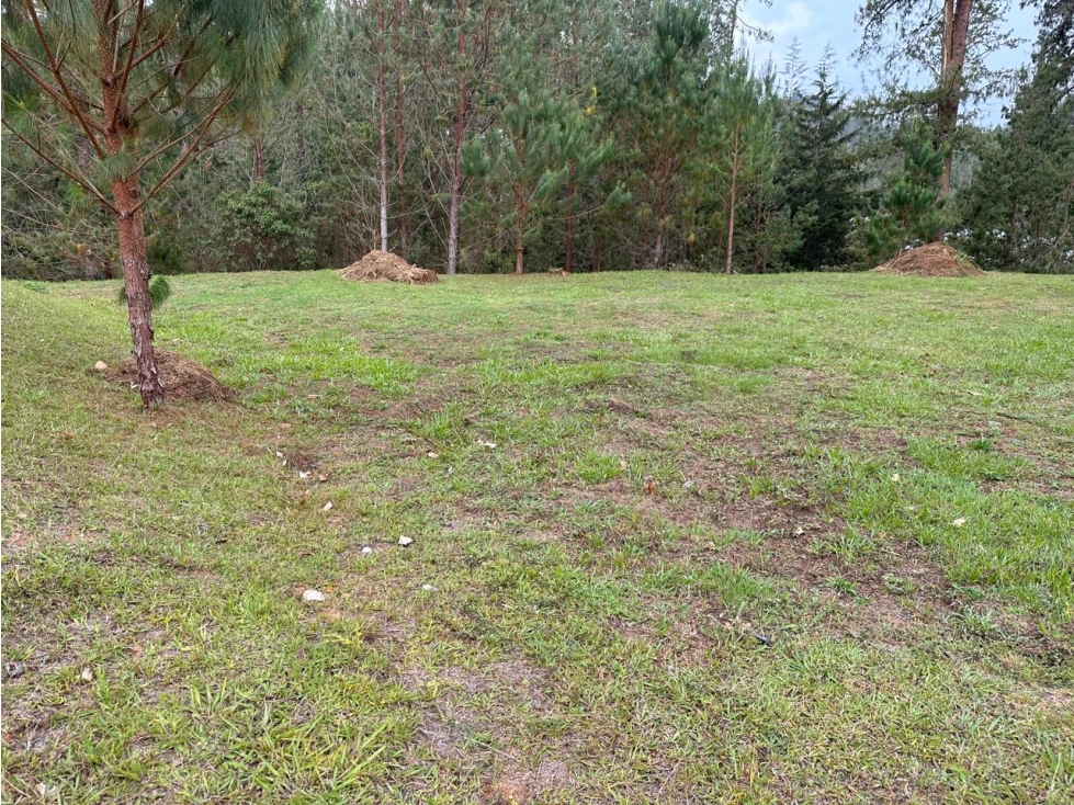 ENCANTADOR LOTE EN VENTA EN PRESTIGIOSA PARCELA EL RETIRO — foto 4