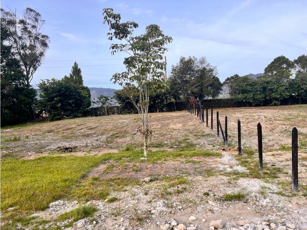 SE VENDE LINDO LOTE EN EL CARMEN DE VIBORAL ~ SECTOR CAMPO ALEGRE... — foto 5