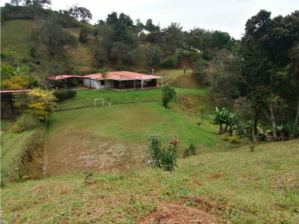 HERMOSA FINCA EN VENTA SAN VICENTE — foto 3