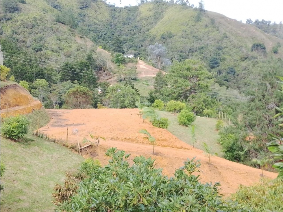 HERMOSOS LOTES EN VENTA GUARNE CON VISTA
