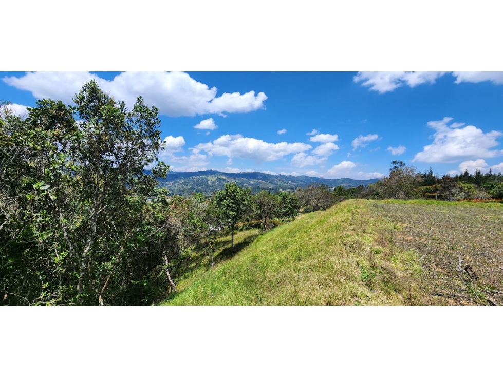 HERMOSO LOTE CAMPESTRE EN VENTA CON ESPECTACULAR VISTA GUARNE — foto 6