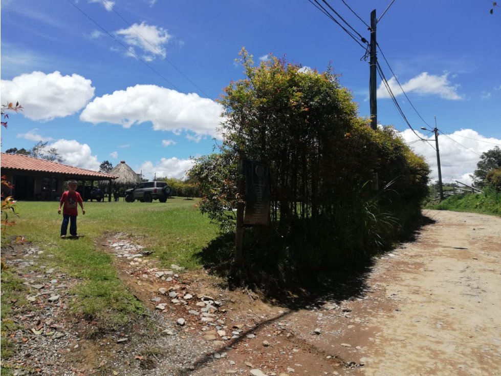 HERMOSA FINCA EN VENTA EN LA VEREDA LAS GARZONAS DEL CARMEN DE VIBORAL — foto 6