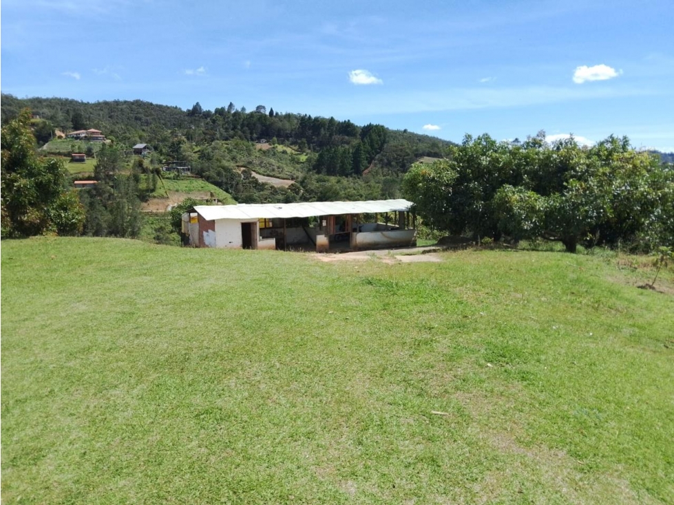 ESPECTACULAR FINCA PRODUCTIVA EN VENTA SAN VICENTE — foto 3