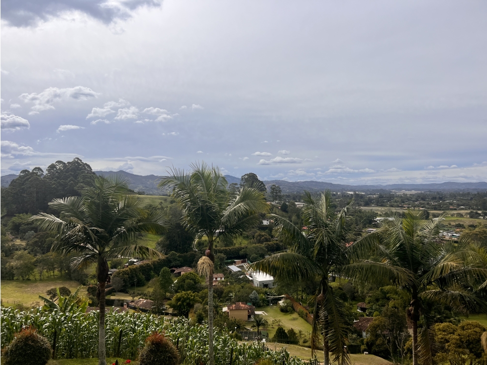 ESPECTACULAR FINCA EN VENTA CON VISTA SECTOR CABECERAS LLANOGRANDE — foto 5