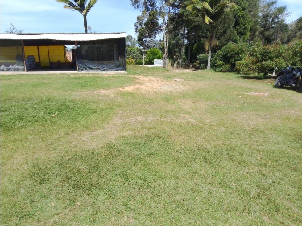 ESPECTACULAR FINCA PRODUCTIVA EN VENTA SAN VICENTE — foto 4