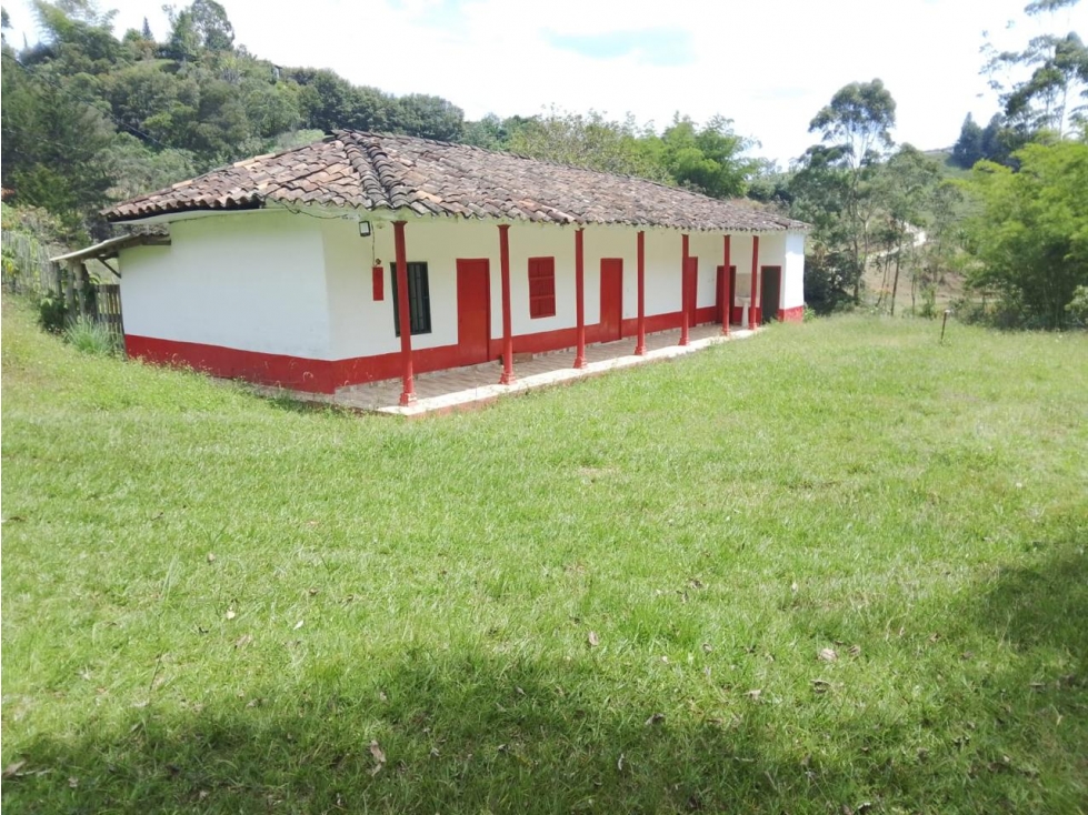 HERMOSA FINCA CAMPESINA EN VENTA SAN VICENTE — foto 2