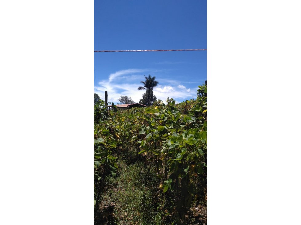 LOTE DE OPORTUNIDAD VEREDA AGUAS CLARAS EN VENTA EN EL CARMEN DE VIB. — foto 3