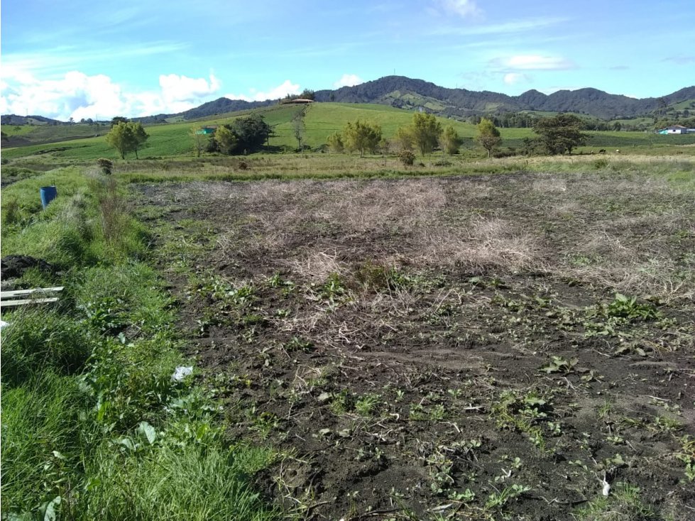 LINDO LOTE EN VENTA 100% PLANO EN LA VEREDA LA MADERA DEL CARMEN VIB. — foto 2