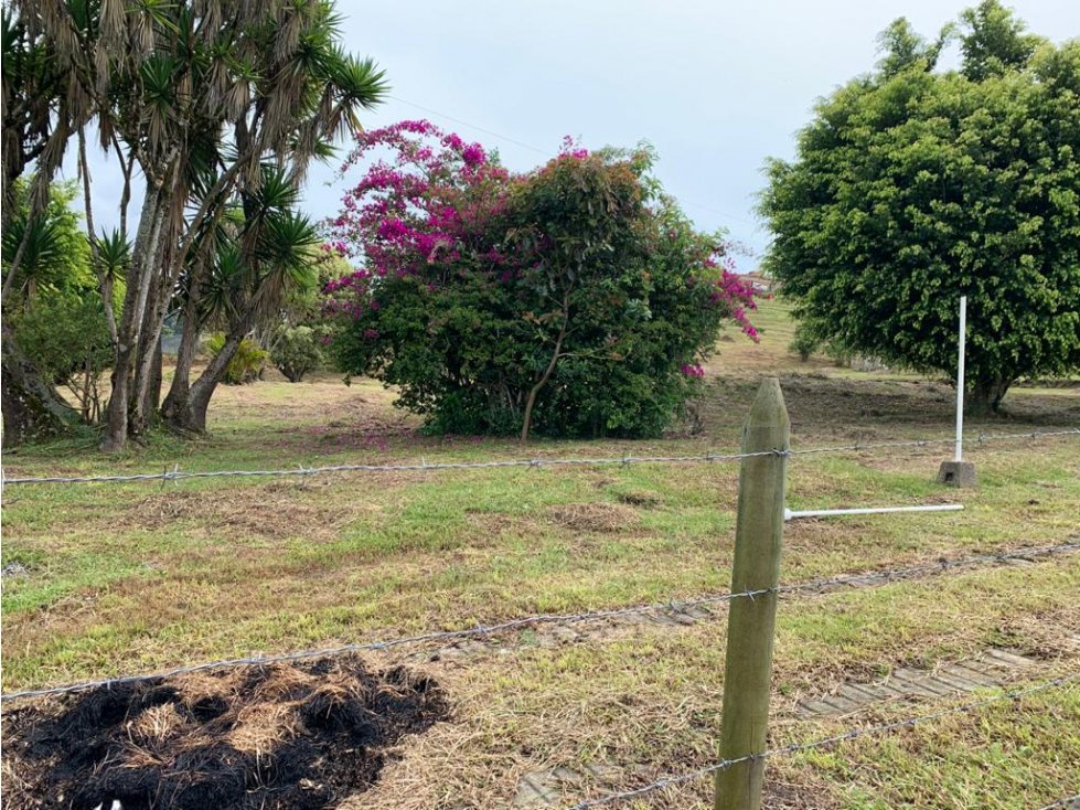 HERMOSO LOTE EN VENTA EN LA VEREDA OJO DE AGUA EL CARMEN DEE VIBORAL — foto 4